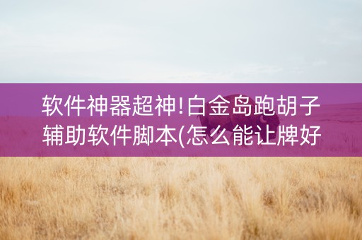 软件神器超神!白金岛跑胡子辅助软件脚本(怎么能让牌好一点)