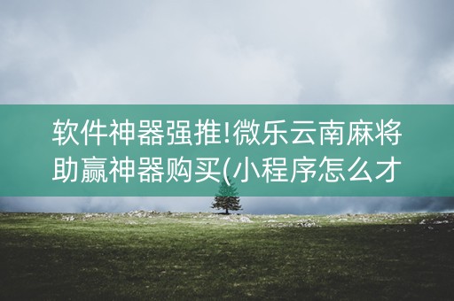 软件神器强推!微乐云南麻将助赢神器购买(小程序怎么才会赢)