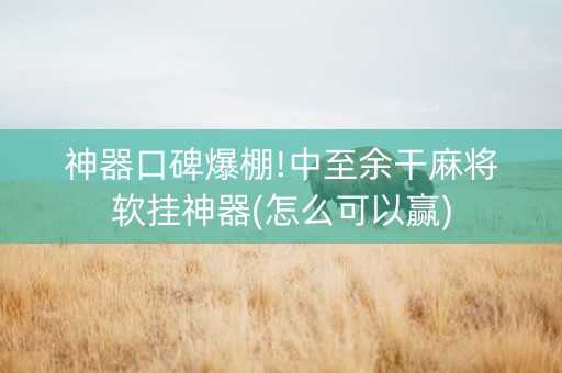 神器口碑爆棚!中至余干麻将软挂神器(怎么可以赢)