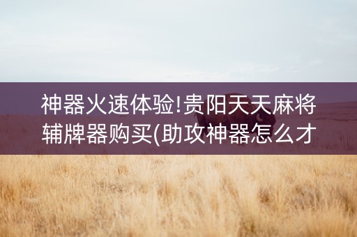 神器火速体验!贵阳天天麻将辅牌器购买(助攻神器怎么才会赢)
