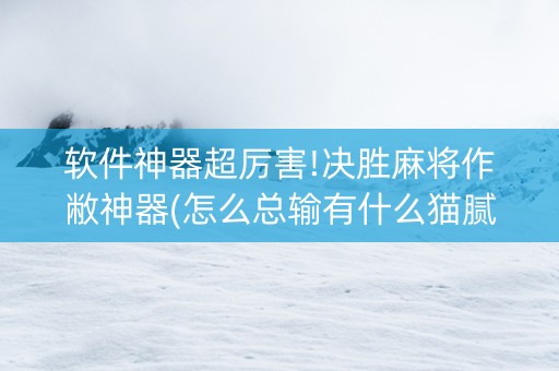 软件神器超厉害!决胜麻将作敝神器(怎么总输有什么猫腻)
