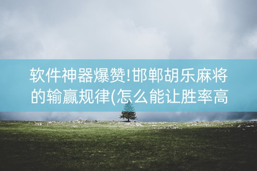 软件神器爆赞!邯郸胡乐麻将的输赢规律(怎么能让胜率高)
