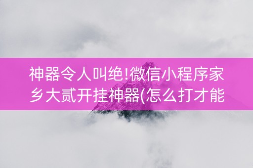 神器令人叫绝!微信小程序家乡大贰开挂神器(怎么打才能赢)
