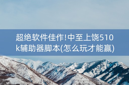 超绝软件佳作!中至上饶510k辅助器脚本(怎么玩才能赢)