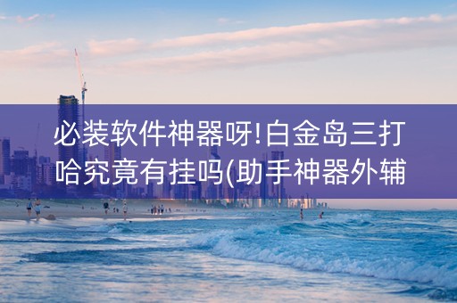 必装软件神器呀!白金岛三打哈究竟有挂吗(助手神器外辅工具)
