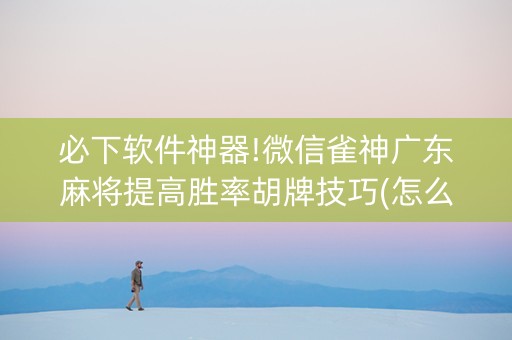 必下软件神器!微信雀神广东麻将提高胜率胡牌技巧(怎么提升胜率)