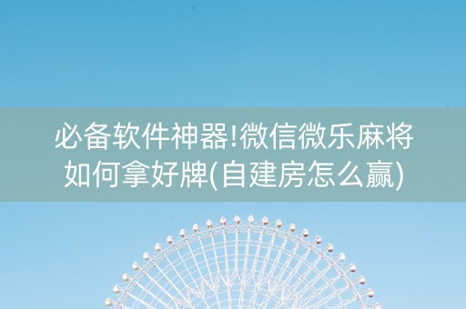必备软件神器!微信微乐麻将如何拿好牌(自建房怎么赢)