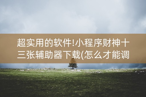 超实用的软件!小程序财神十三张辅助器下载(怎么才能调胜率)