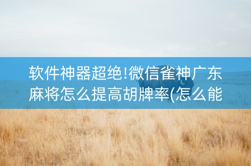 软件神器超绝!微信雀神广东麻将怎么提高胡牌率(怎么能让牌好一点)