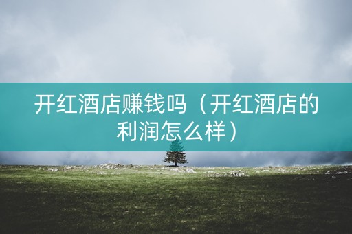 开红酒店赚钱吗（开红酒店的利润怎么样）