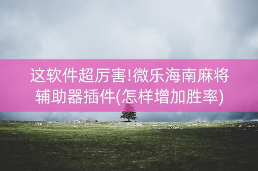 这软件超厉害!微乐海南麻将辅助器插件(怎样增加胜率)
