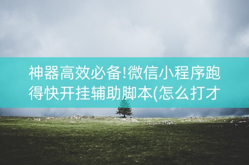 神器高效必备!微信小程序跑得快开挂辅助脚本(怎么打才会赢)