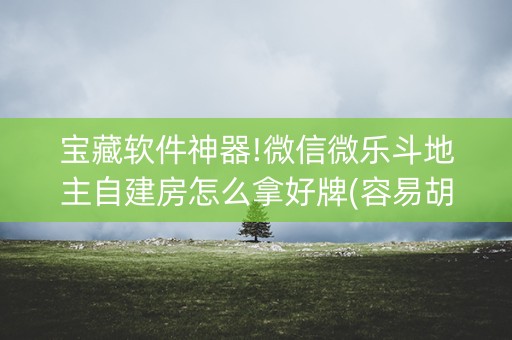 宝藏软件神器!微信微乐斗地主自建房怎么拿好牌(容易胡牌的技巧)