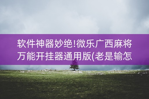 软件神器妙绝!微乐广西麻将万能开挂器通用版(老是输怎么办)