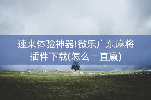 速来体验神器!微乐广东麻将插件下载(怎么一直赢)