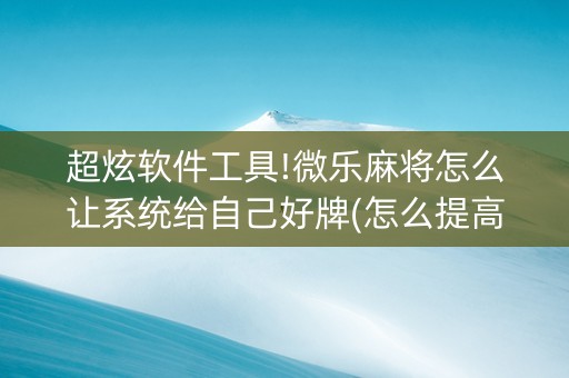 超炫软件工具!微乐麻将怎么让系统给自己好牌(怎么提高胜率)