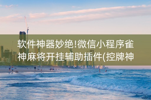 软件神器妙绝!微信小程序雀神麻将开挂辅助插件(控牌神器)