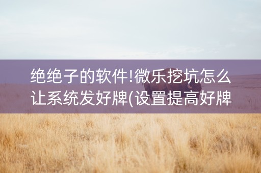绝绝子的软件!微乐挖坑怎么让系统发好牌(设置提高好牌几率)