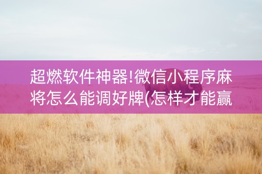 超燃软件神器!微信小程序麻将怎么能调好牌(怎样才能赢)