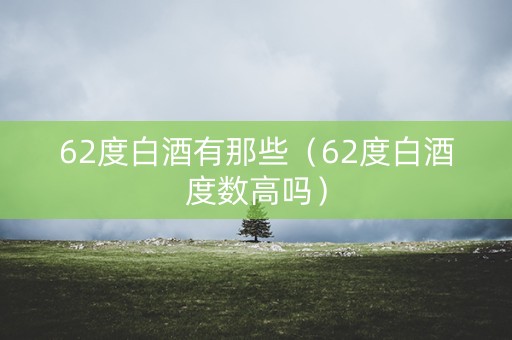 62度白酒有那些（62度白酒度数高吗）
