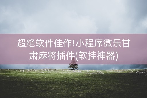 超绝软件佳作!小程序微乐甘肃麻将插件(软挂神器)