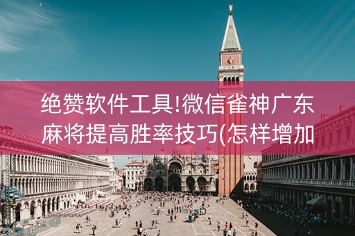 绝赞软件工具!微信雀神广东麻将提高胜率技巧(怎样增加胜率)