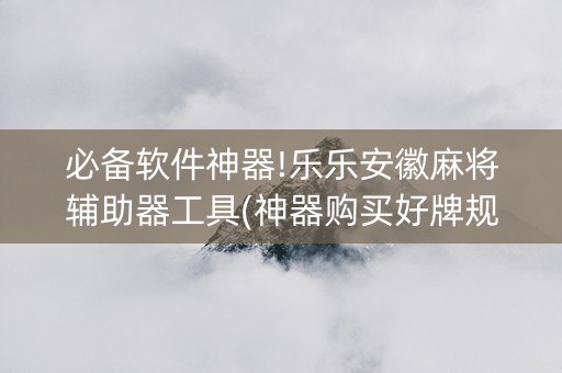 必备软件神器!乐乐安徽麻将辅助器工具(神器购买好牌规律)