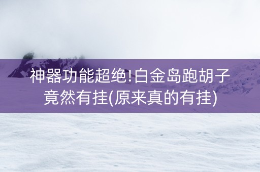 神器功能超绝!白金岛跑胡子竟然有挂(原来真的有挂)