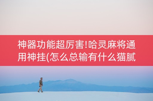 神器功能超厉害!哈灵麻将通用神挂(怎么总输有什么猫腻)
