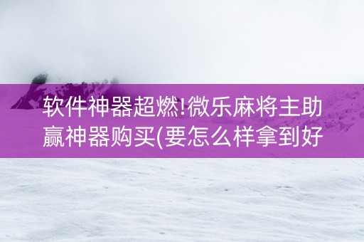软件神器超燃!微乐麻将主助赢神器购买(要怎么样拿到好牌)