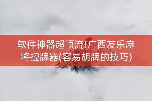 软件神器超顶流!广西友乐麻将控牌器(容易胡牌的技巧)