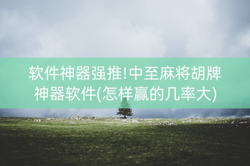 软件神器强推!中至麻将胡牌神器软件(怎样赢的几率大)