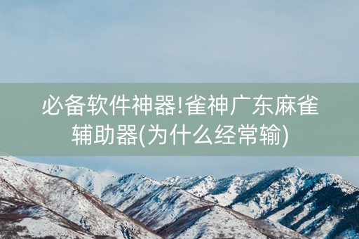 必备软件神器!雀神广东麻雀辅助器(为什么经常输)
