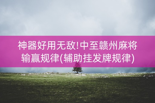 神器好用无敌!中至赣州麻将输赢规律(辅助挂发牌规律)