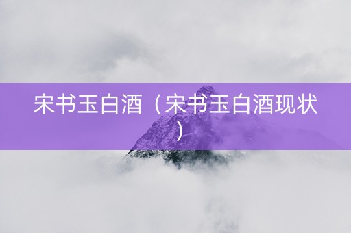 宋书玉白酒（宋书玉白酒现状）