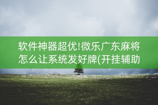 软件神器超优!微乐广东麻将怎么让系统发好牌(开挂辅助插件)