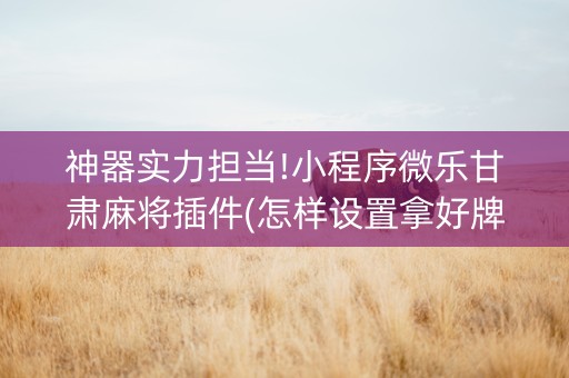 神器实力担当!小程序微乐甘肃麻将插件(怎样设置拿好牌)
