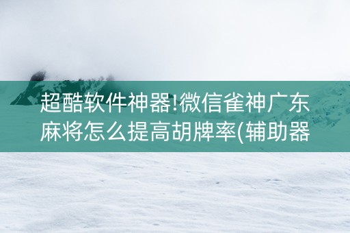 超酷软件神器!微信雀神广东麻将怎么提高胡牌率(辅助器插件)
