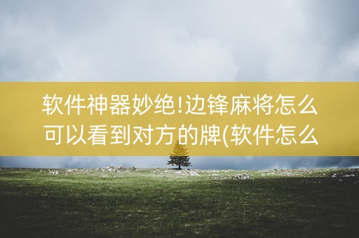软件神器妙绝!边锋麻将怎么可以看到对方的牌(软件怎么打赢)
