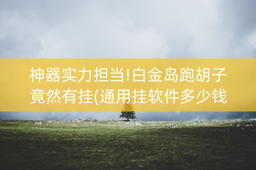 神器实力担当!白金岛跑胡子竟然有挂(通用挂软件多少钱)