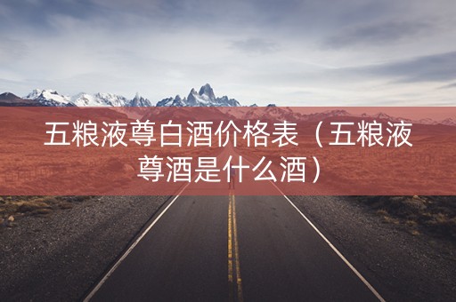 五粮液尊白酒价格表（五粮液尊酒是什么酒）