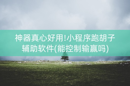 神器真心好用!小程序跑胡子辅助软件(能控制输赢吗)