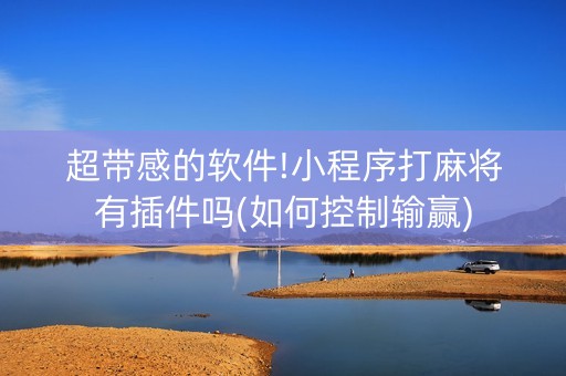 超带感的软件!小程序打麻将有插件吗(如何控制输赢)