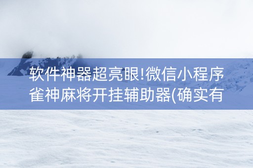 软件神器超亮眼!微信小程序雀神麻将开挂辅助器(确实有挂)