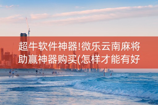 超牛软件神器!微乐云南麻将助赢神器购买(怎样才能有好牌)