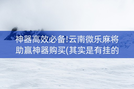 神器高效必备!云南微乐麻将助赢神器购买(其实是有挂的)