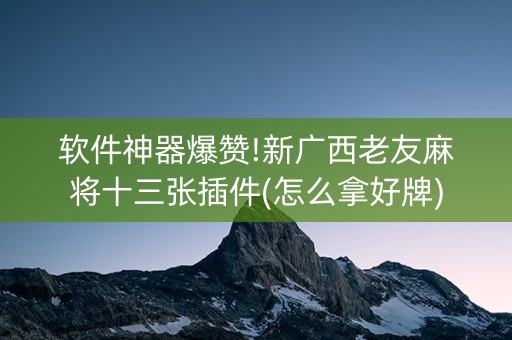 软件神器爆赞!新广西老友麻将十三张插件(怎么拿好牌)