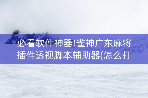 必看软件神器!雀神广东麻将插件透视脚本辅助器(怎么打会赢)