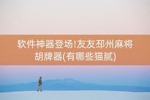 软件神器登场!友友邳州麻将胡牌器(有哪些猫腻)