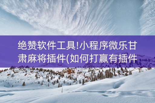 绝赞软件工具!小程序微乐甘肃麻将插件(如何打赢有插件吗)